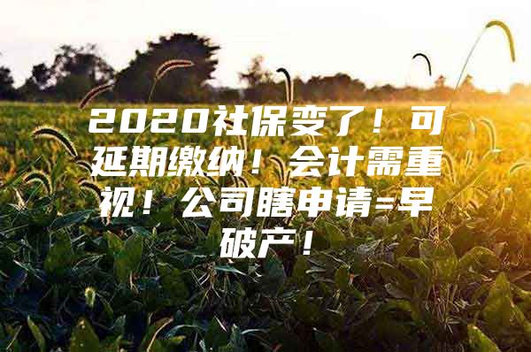 2020社保变了！可延期缴纳！会计需重视！公司瞎申请=早破产！