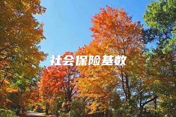 社会保险基数
