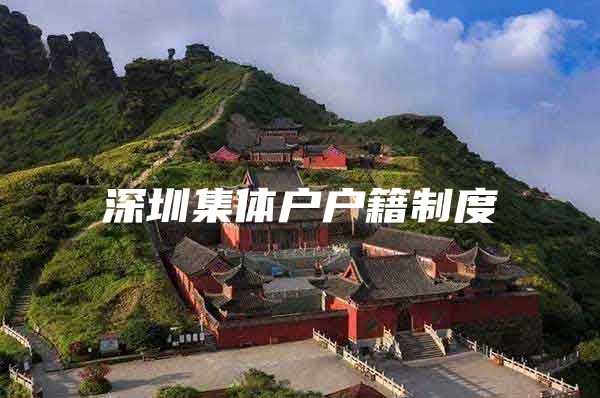 深圳集体户户籍制度