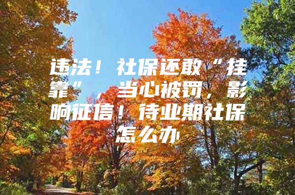 违法！社保还敢“挂靠”，当心被罚，影响征信！待业期社保怎么办