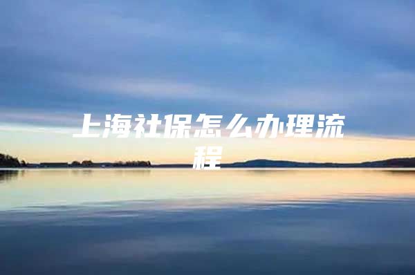 上海社保怎么办理流程