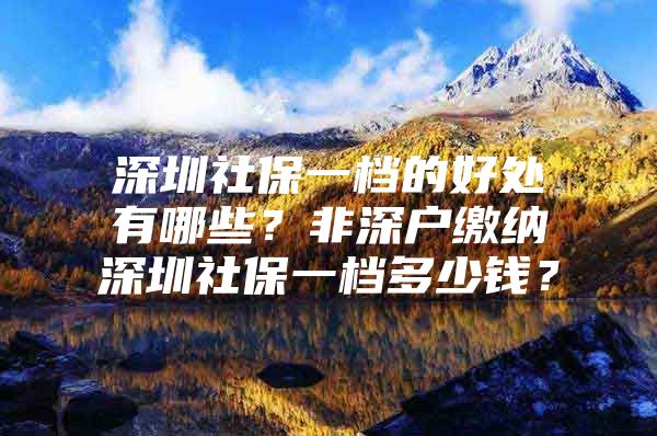 深圳社保一档的好处有哪些？非深户缴纳深圳社保一档多少钱？