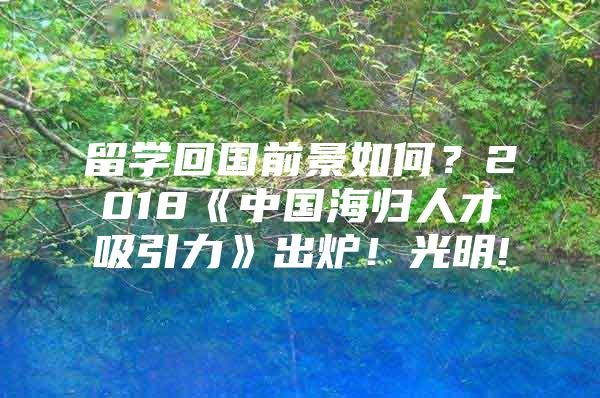 留学回国前景如何？2018《中国海归人才吸引力》出炉！光明!