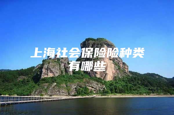 上海社会保险险种类有哪些