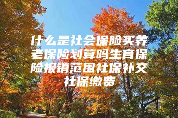 什么是社会保险买养老保险划算吗生育保险报销范围社保补交社保缴费