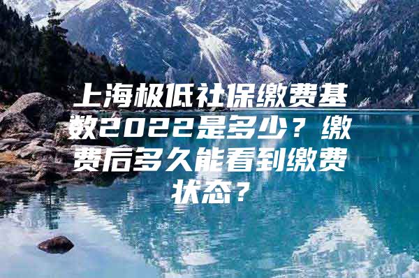 上海极低社保缴费基数2022是多少？缴费后多久能看到缴费状态？