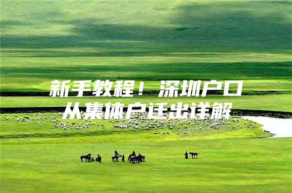 新手教程！深圳户口从集体户迁出详解