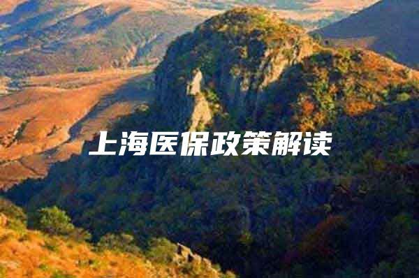 上海医保政策解读