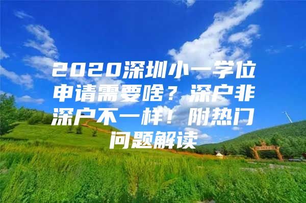 2020深圳小一学位申请需要啥？深户非深户不一样！附热门问题解读