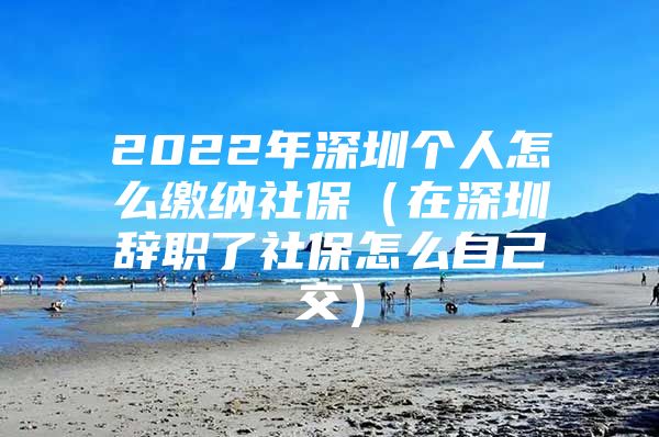 2022年深圳个人怎么缴纳社保（在深圳辞职了社保怎么自己交）