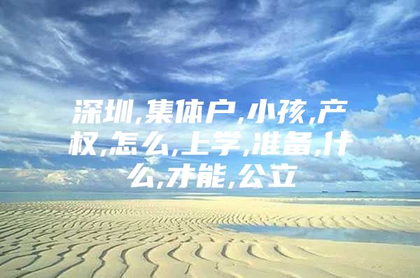 深圳,集体户,小孩,产权,怎么,上学,准备,什么,才能,公立