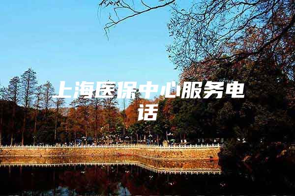 上海医保中心服务电话