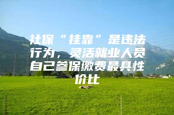 社保“挂靠”是违法行为，灵活就业人员自己参保缴费最具性价比