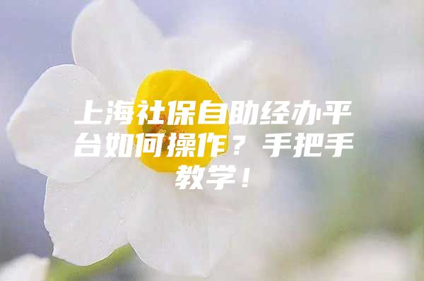 上海社保自助经办平台如何操作？手把手教学！