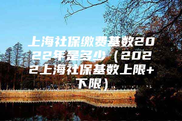 上海社保缴费基数2022年是多少（2022上海社保基数上限+下限）