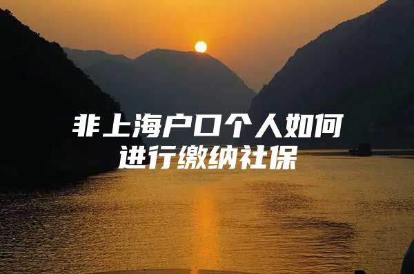 非上海户口个人如何进行缴纳社保