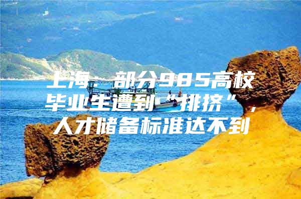 上海：部分985高校毕业生遭到“排挤”，人才储备标准达不到