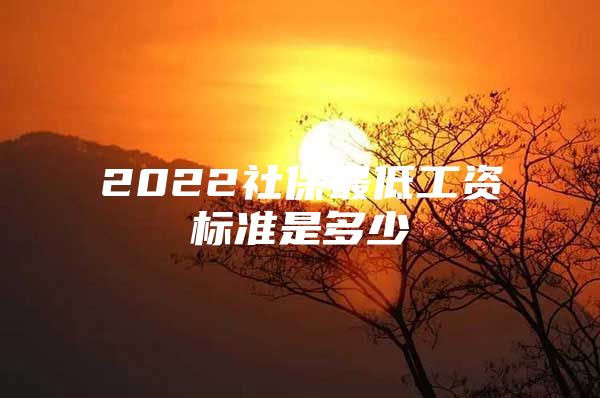 2022社保最低工资标准是多少