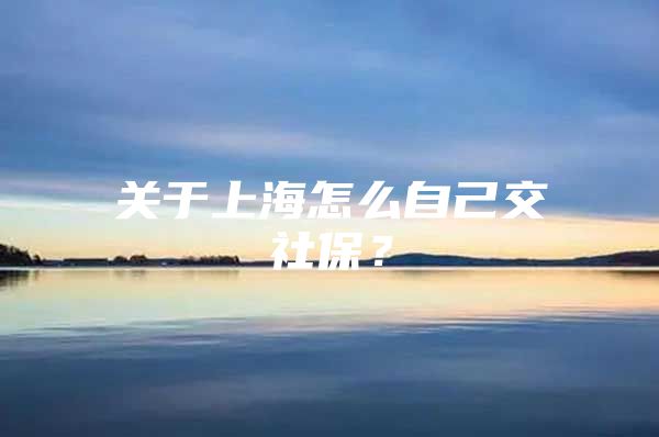 关于上海怎么自己交社保？