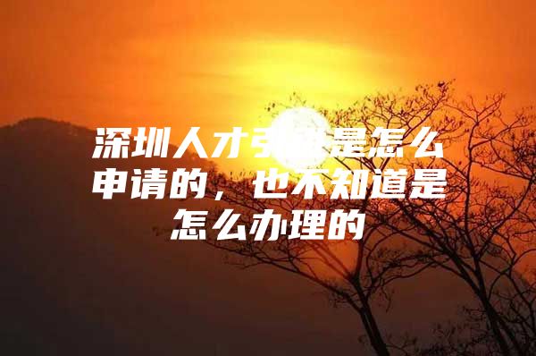 深圳人才引进是怎么申请的，也不知道是怎么办理的