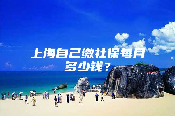 上海自己缴社保每月多少钱？