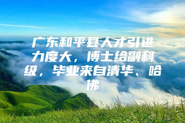广东和平县人才引进力度大，博士给副科级，毕业来自清华、哈佛