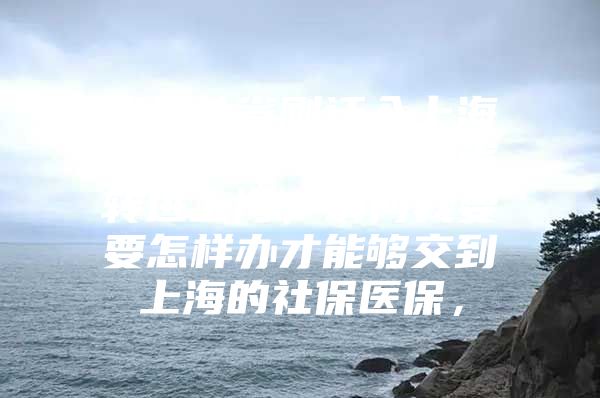 我是外省刚迁入上海户口的，不能从外省转进上海，请问我要要怎样办才能够交到上海的社保医保，