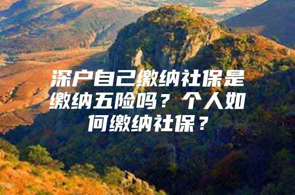 深户自己缴纳社保是缴纳五险吗？个人如何缴纳社保？