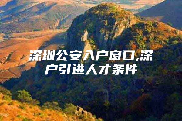 深圳公安入户窗口,深户引进人才条件