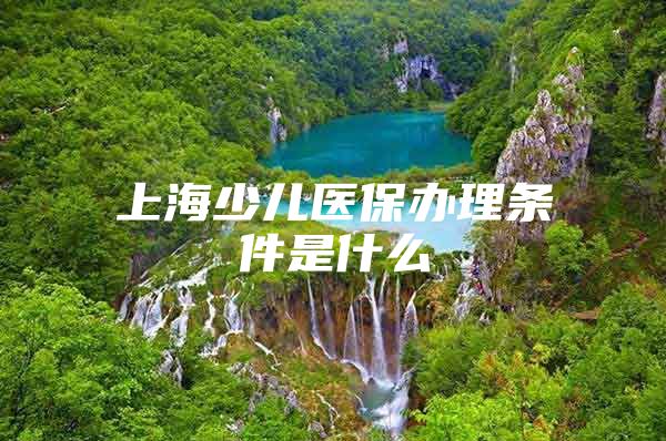 上海少儿医保办理条件是什么