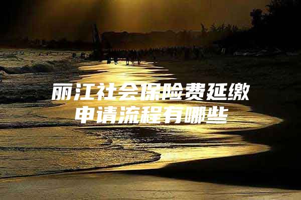 丽江社会保险费延缴申请流程有哪些