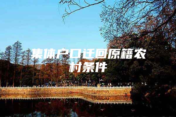 集体户口迁回原籍农村条件