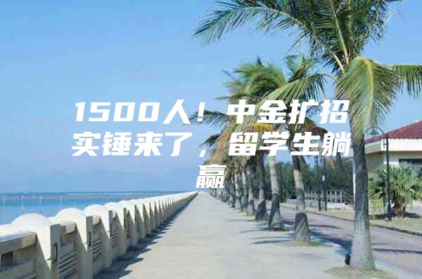 1500人！中金扩招实锤来了，留学生躺赢