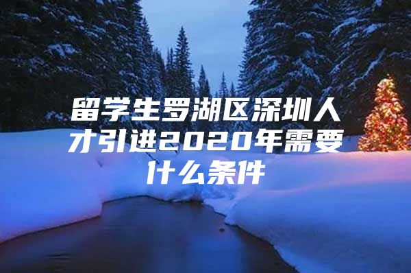 留学生罗湖区深圳人才引进2020年需要什么条件