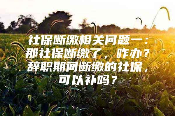 社保断缴相关问题一：那社保断缴了，咋办？辞职期间断缴的社保，可以补吗？