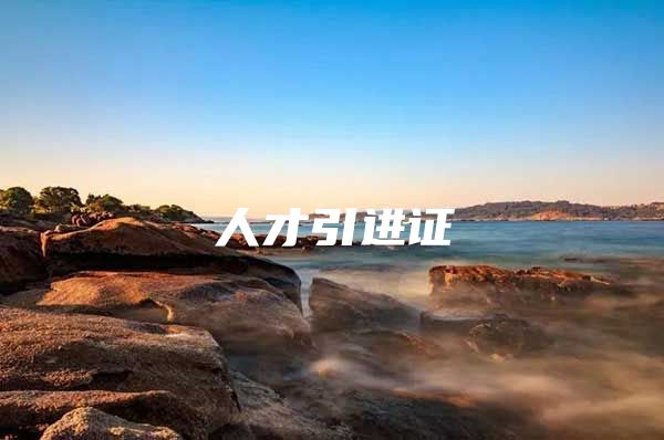 人才引进证