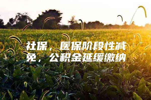 社保，医保阶段性减免，公积金延缓缴纳