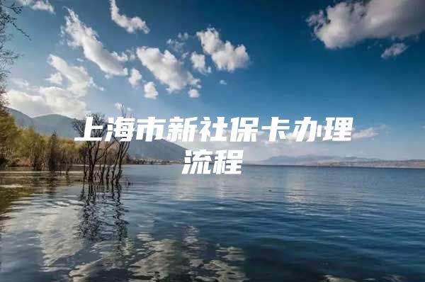 上海市新社保卡办理流程