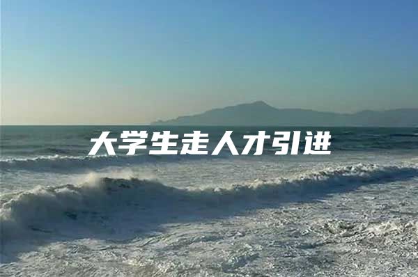 大学生走人才引进