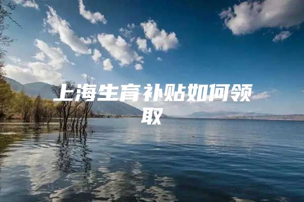 上海生育补贴如何领取