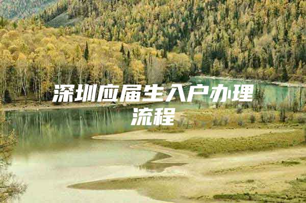 深圳应届生入户办理流程
