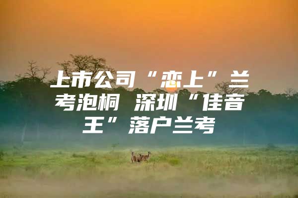 上市公司“恋上”兰考泡桐 深圳“佳音王”落户兰考