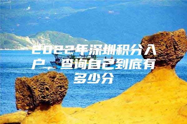 2022年深圳积分入户，查询自己到底有多少分