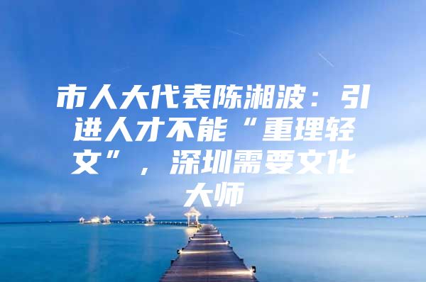 市人大代表陈湘波：引进人才不能“重理轻文”，深圳需要文化大师
