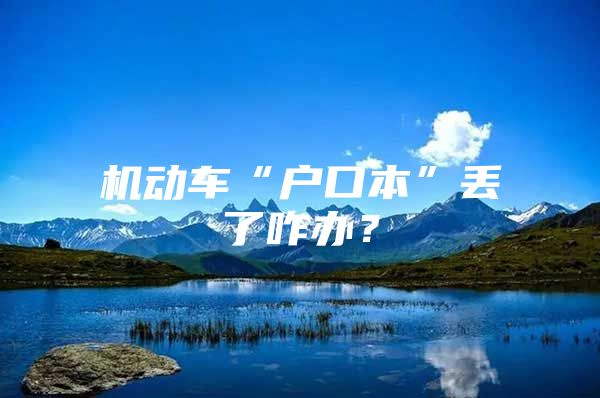 机动车“户口本”丢了咋办？