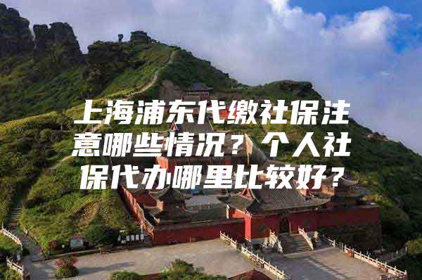 上海浦东代缴社保注意哪些情况？个人社保代办哪里比较好？