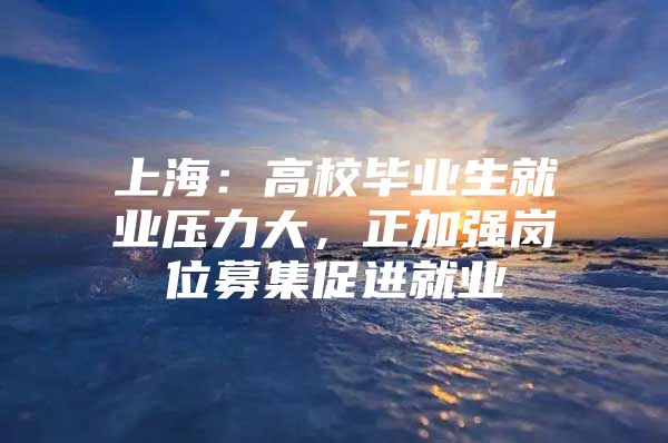 上海：高校毕业生就业压力大，正加强岗位募集促进就业