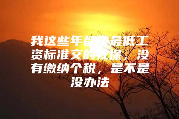 我这些年都按最低工资标准交的社保，没有缴纳个税，是不是没办法