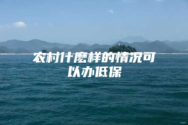 农村什麽样的情况可以办低保