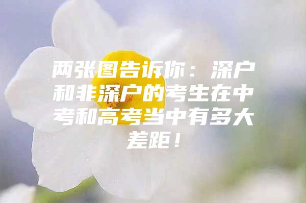 两张图告诉你：深户和非深户的考生在中考和高考当中有多大差距！